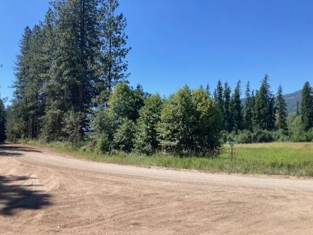 $45,000 | 25-xx Hall Creek Road, Inchelium, WA 99138