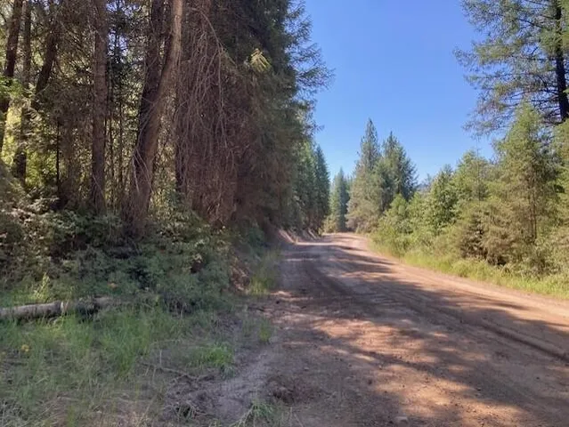 $45,000 | 25-xx Hall Creek Road, Inchelium, WA 99138