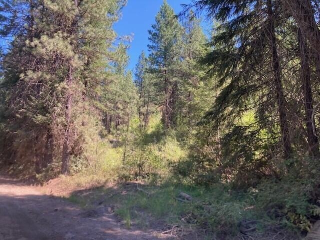 25-xx Hall Creek Road Inchelium, WA 99138 - Photo 15 of 27