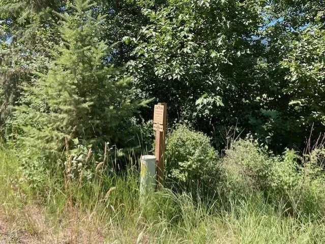 $45,000 | 25-xx Hall Creek Road, Inchelium, WA 99138