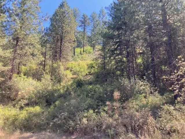 $45,000 | 25-xx Hall Creek Road, Inchelium, WA 99138