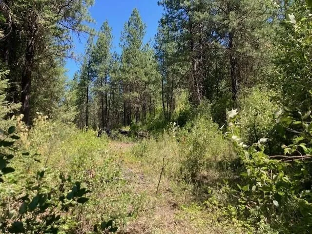 $45,000 | 25-xx Hall Creek Road, Inchelium, WA 99138