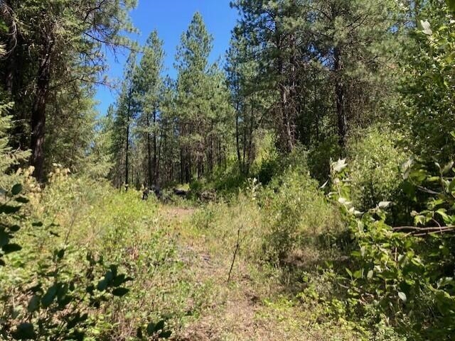 25-xx Hall Creek Road Inchelium, WA 99138 - Photo 18 of 27