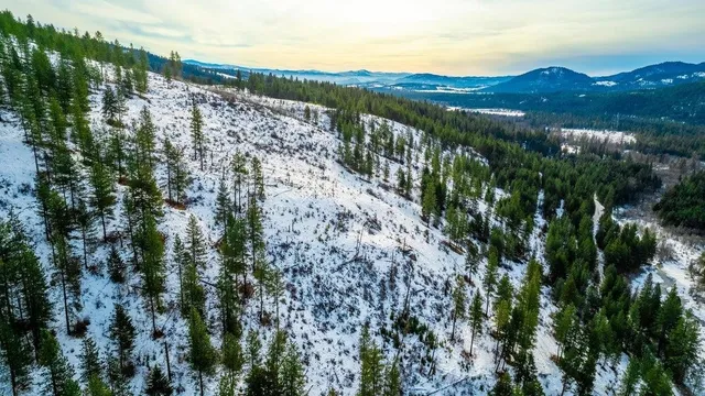 $45,000 | 25-xx Hall Creek Road, Inchelium, WA 99138