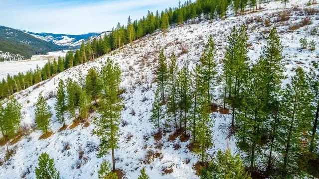 $45,000 | 25-xx Hall Creek Road, Inchelium, WA 99138