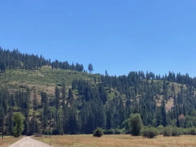 $45,000 | 25-xx Hall Creek Road, Inchelium, WA 99138