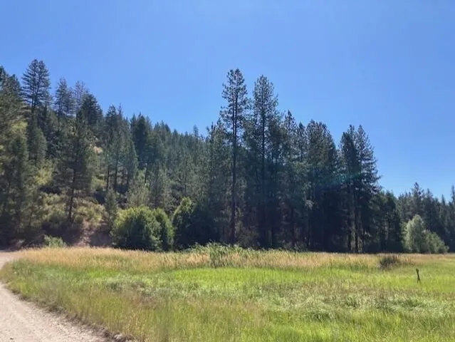 $45,000 | 25-xx Hall Creek Road, Inchelium, WA 99138