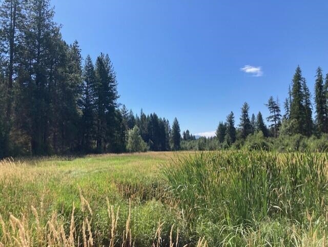 25-xx Hall Creek Road Inchelium, WA 99138 - Photo 7 of 27