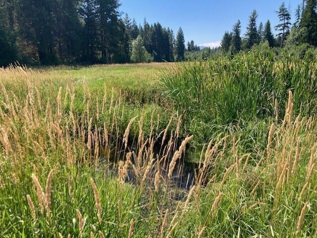 25-xx Hall Creek Road Inchelium, WA 99138 - Photo 8 of 27