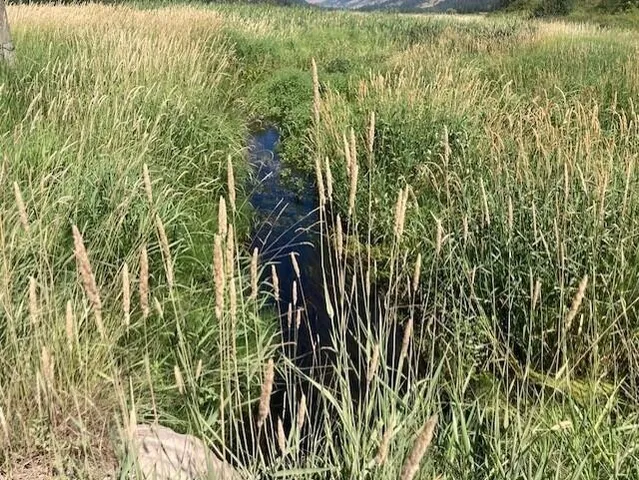 $45,000 | 25-xx Hall Creek Road, Inchelium, WA 99138