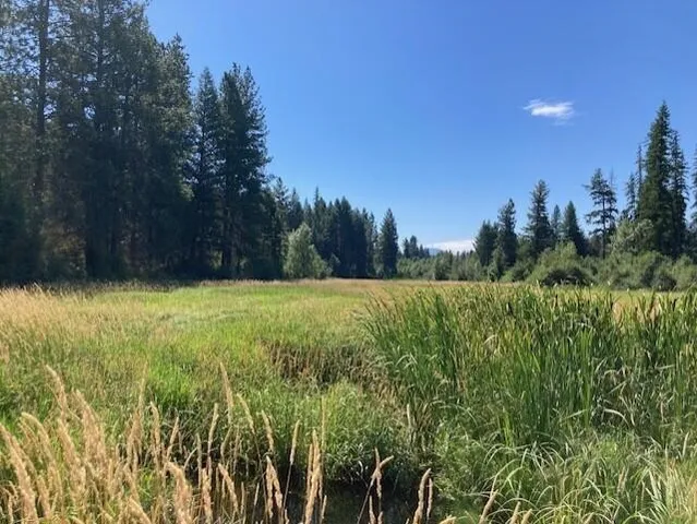 $45,000 | 25-xx Hall Creek Road, Inchelium, WA 99138