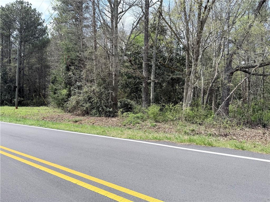0 Old Columbus Road Bowdon, GA 30108 - Photo 7 of 9 Gallery Image 7