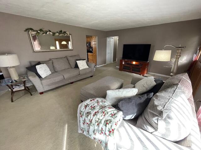 232 Lynbrook Drive Coldwater, MI 49036 - Photo 4 of 42 IMG_7750