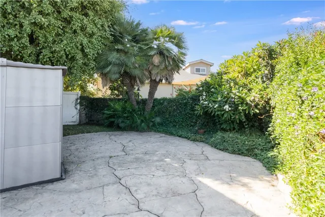 a view of a backyard