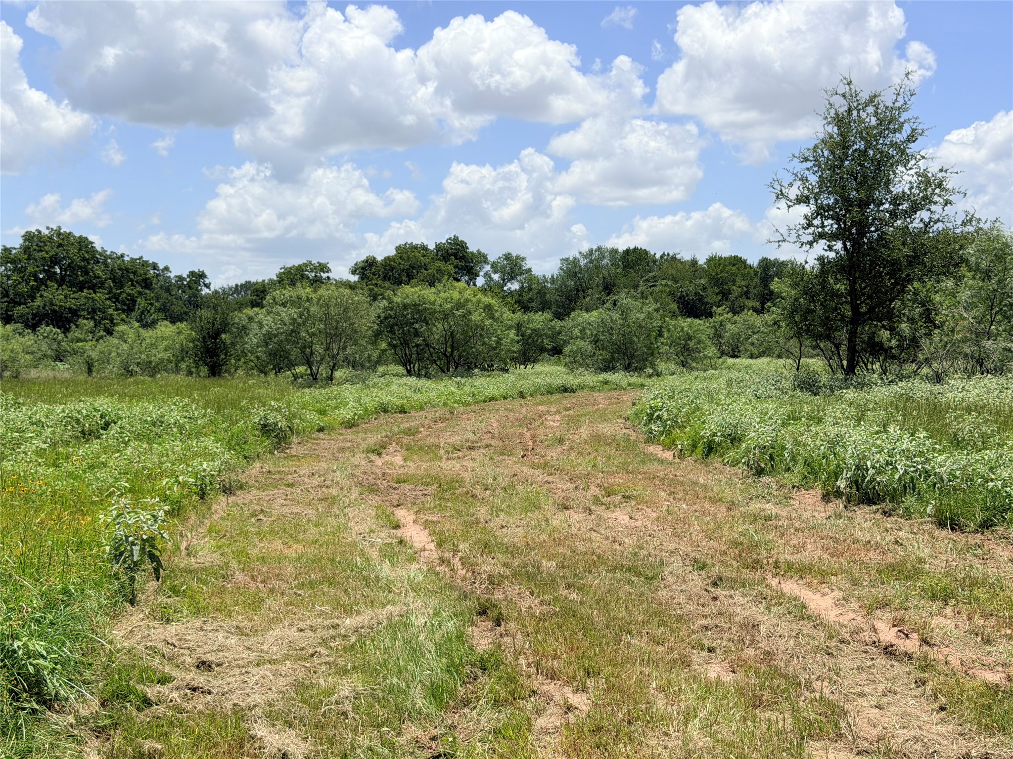 150 Pumper Road Luling, TX 78648 - Photo 9 of 24 Vast natural meadows offer serene views and ample space for private enjoyment.
