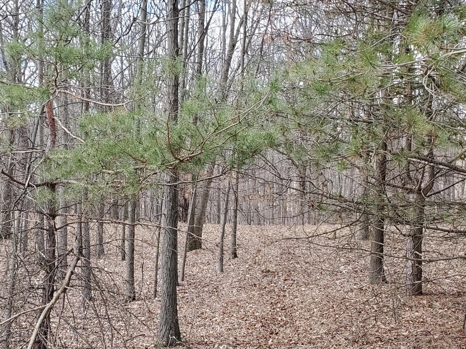 4380 Mushbach Road Chelsea, MI 48118 - Photo 12 of 15 Photo 12