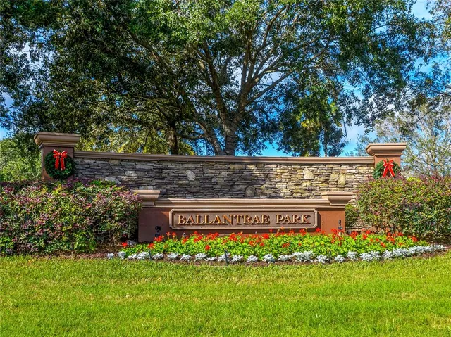 a view of a white house potted plants and a large tree