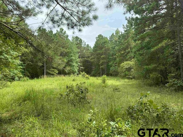 2322 Rusk Tx 75785 Rusk, TX 75785 - Photo 2 of 3