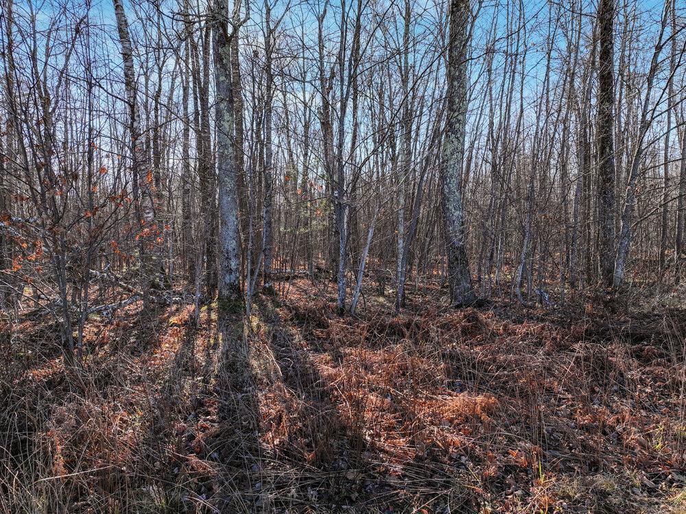 Lot 14 West Peninsula Road Hayward, WI 54843 - Photo 2 of 12