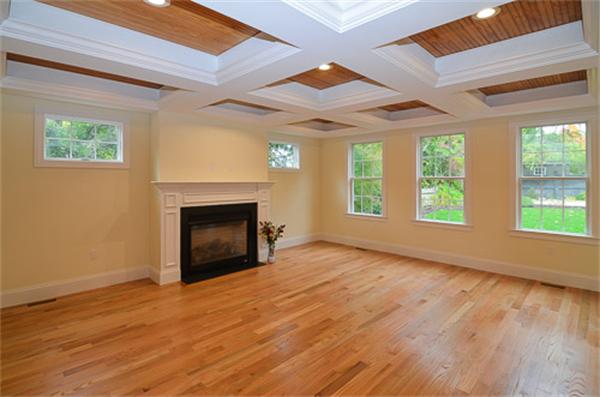 18 Penniman Road Brookline, MA 02445 - Photo 4 of 18 an empty room with wooden floor fireplace and windows