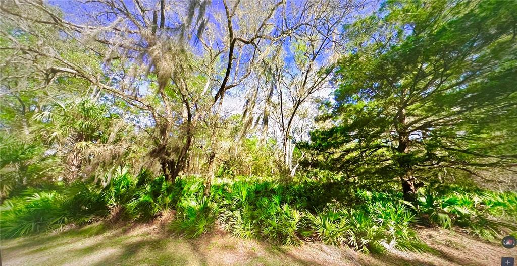 10047 West Dunnellon Road Crystal River, FL 34428 - Photo 7 of 7