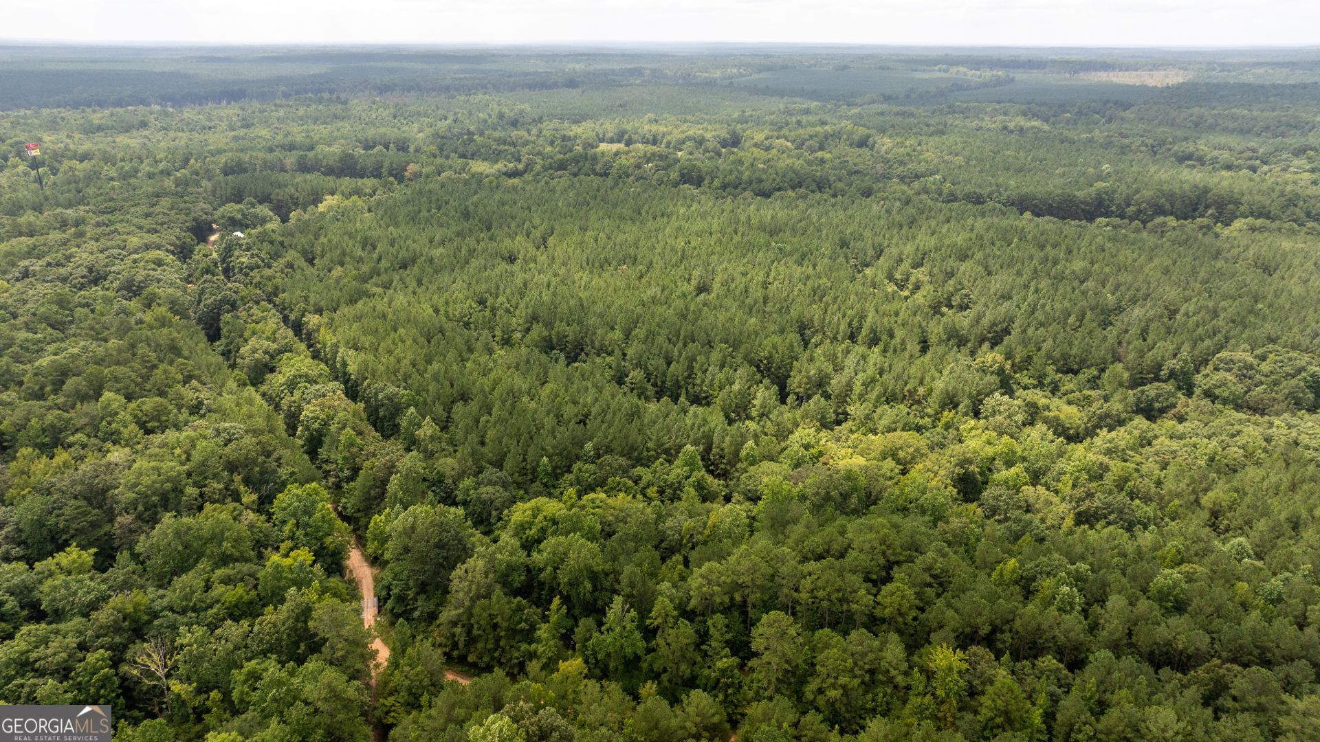 0 Frank Smith Road Norwood, GA 30821 - Photo 11 of 17 an aerial view of forest
