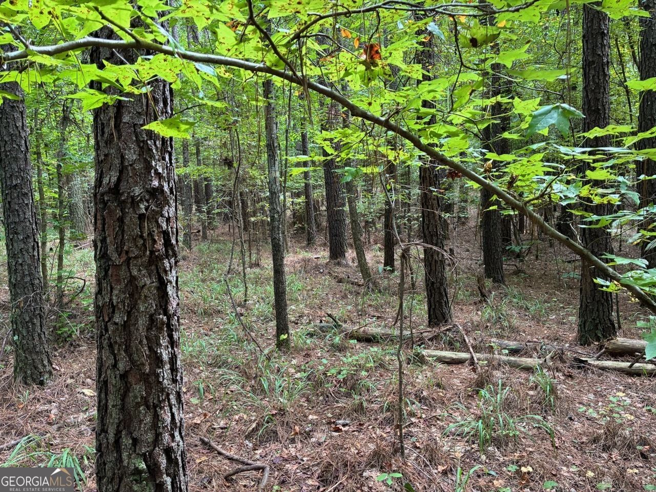 0 Frank Smith Road Norwood, GA 30821 - Photo 13 of 17 a backyard of a house with lots of green space