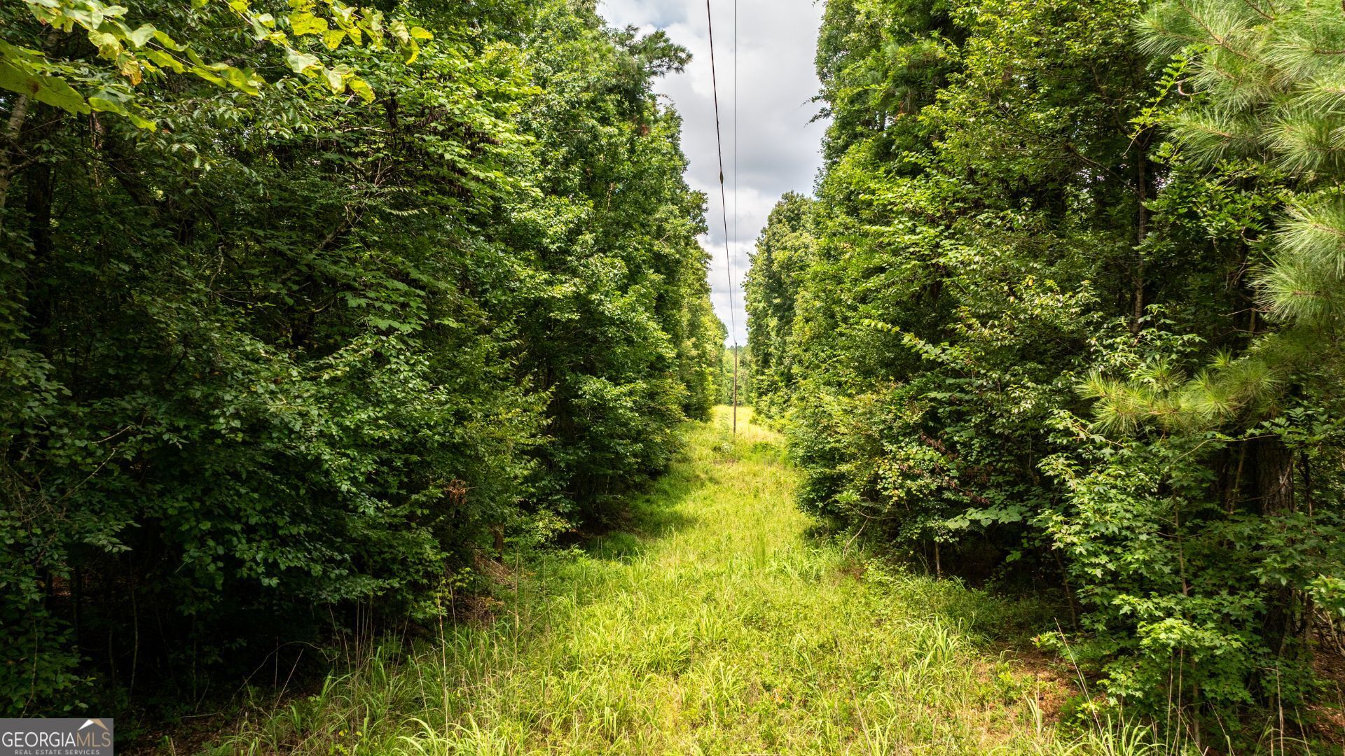 0 Frank Smith Road Norwood, GA 30821 - Photo 15 of 17 a view of a garden