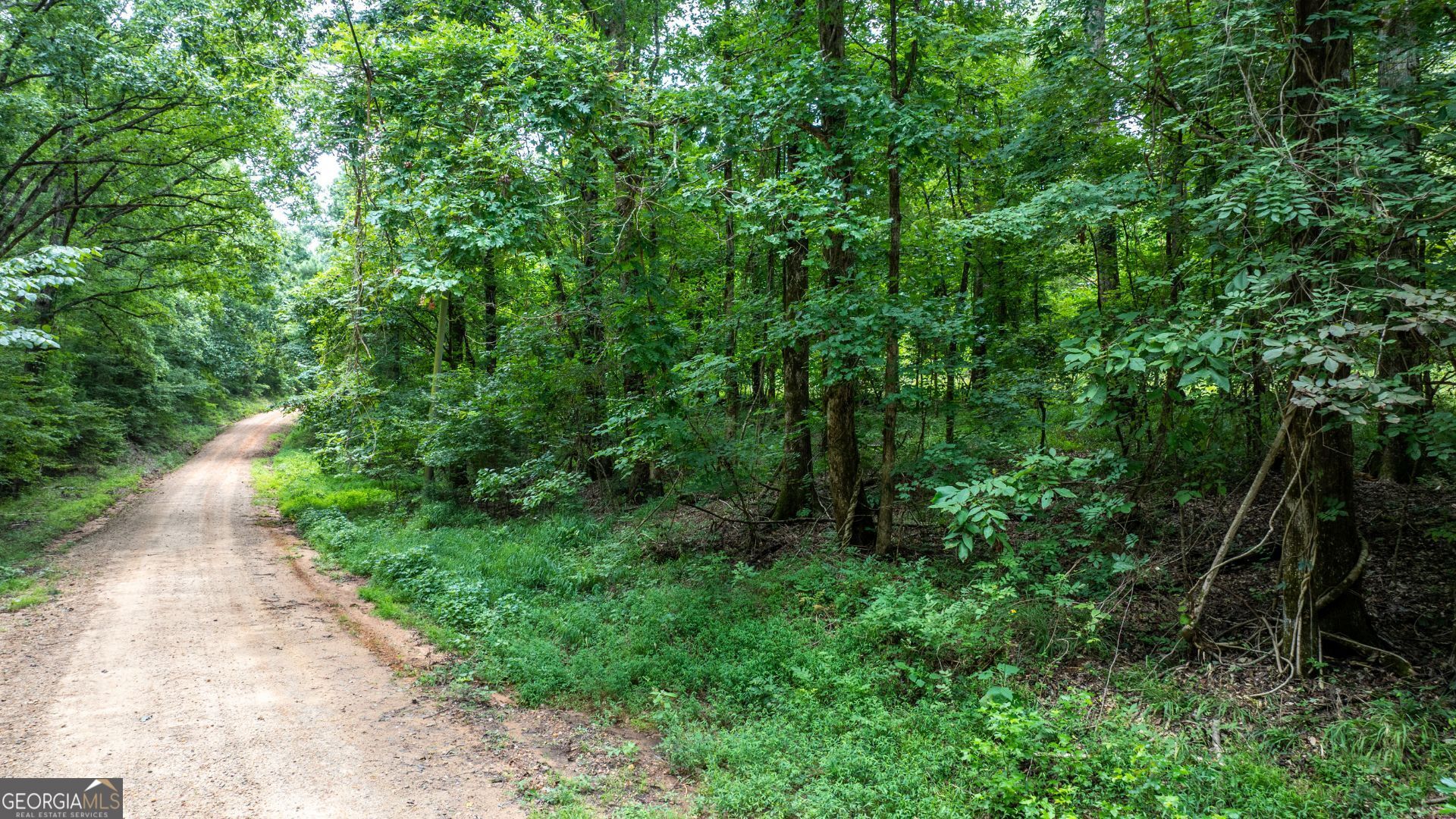 0 Frank Smith Road Norwood, GA 30821 - Photo 16 of 17 a view of a pathway of a park