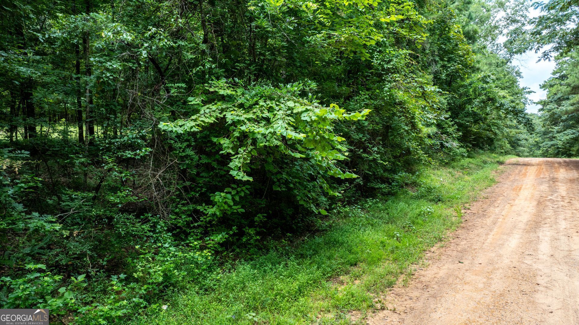 0 Frank Smith Road Norwood, GA 30821 - Photo 17 of 17 a view of a garden with plants