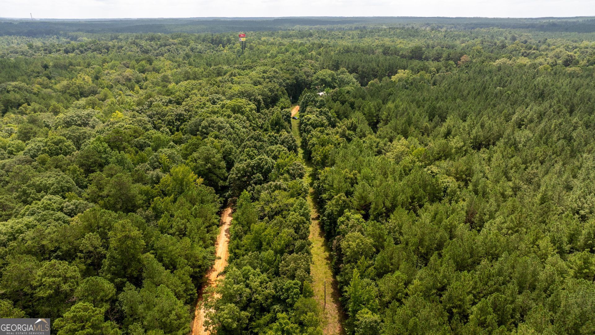 0 Frank Smith Road Norwood, GA 30821 - Photo 7 of 17 a view of a forest with a street