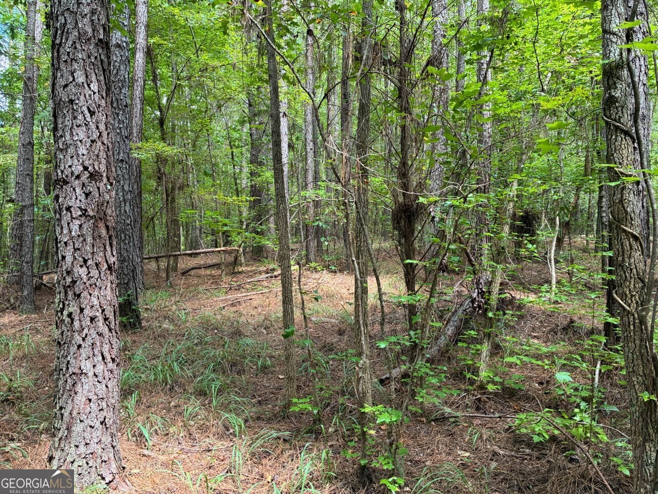 0 Frank Smith Road Norwood, GA 30821 - Photo 9 of 17 a view of yard