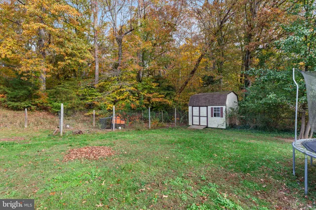 a view of a backyard with large trees