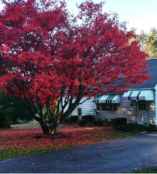 49 George Jr Road Grove City, PA 16127 - Photo 25 of 25 Gallery Image 25