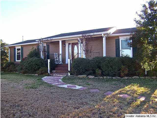 213 Lake Road Oneonta, AL 35121 - Photo 2 of 32