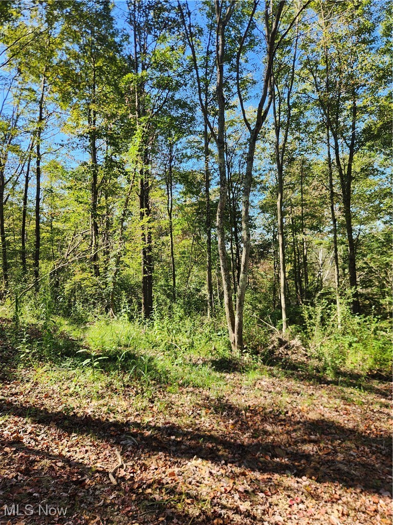 7 County Road New Straitsville, OH 43766 - Photo 5 of 9 Gallery Image 5