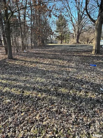 $19,999 | Lot S South 5th Cross Street, Mechanicsburg, IL 62545