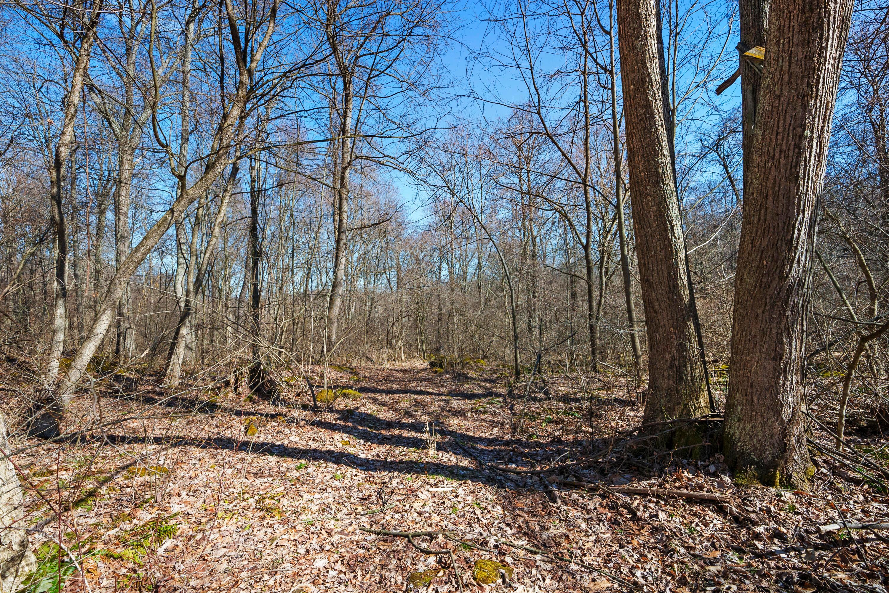 14155 Pinewood Trail Road Northeast Newark, OH 43055 - Photo 66 of 66 DSC01271