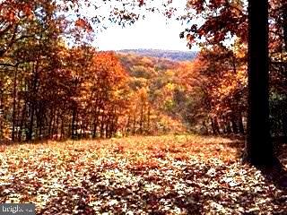 845 Friends Creek Road Fairfield, PA 17320 - Photo 3 of 41 Gallery Image 3