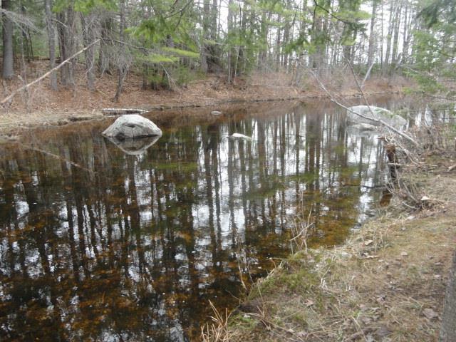 38 Wint Road Harrison, ME 04040 - Photo 31 of 34 At brook's end at the inlet into the...