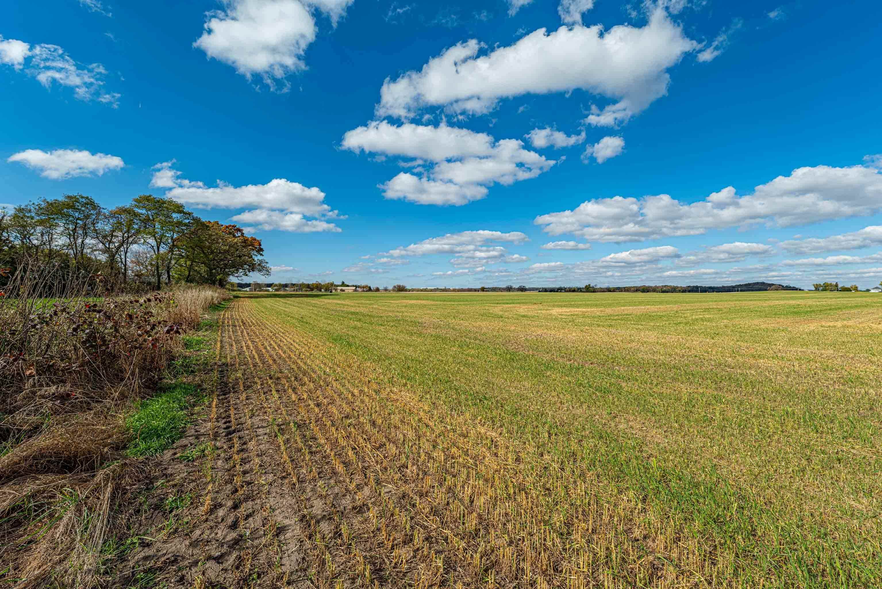 Lot 3 Rosevale Belleville, WI 53508 - Photo 24 of 26