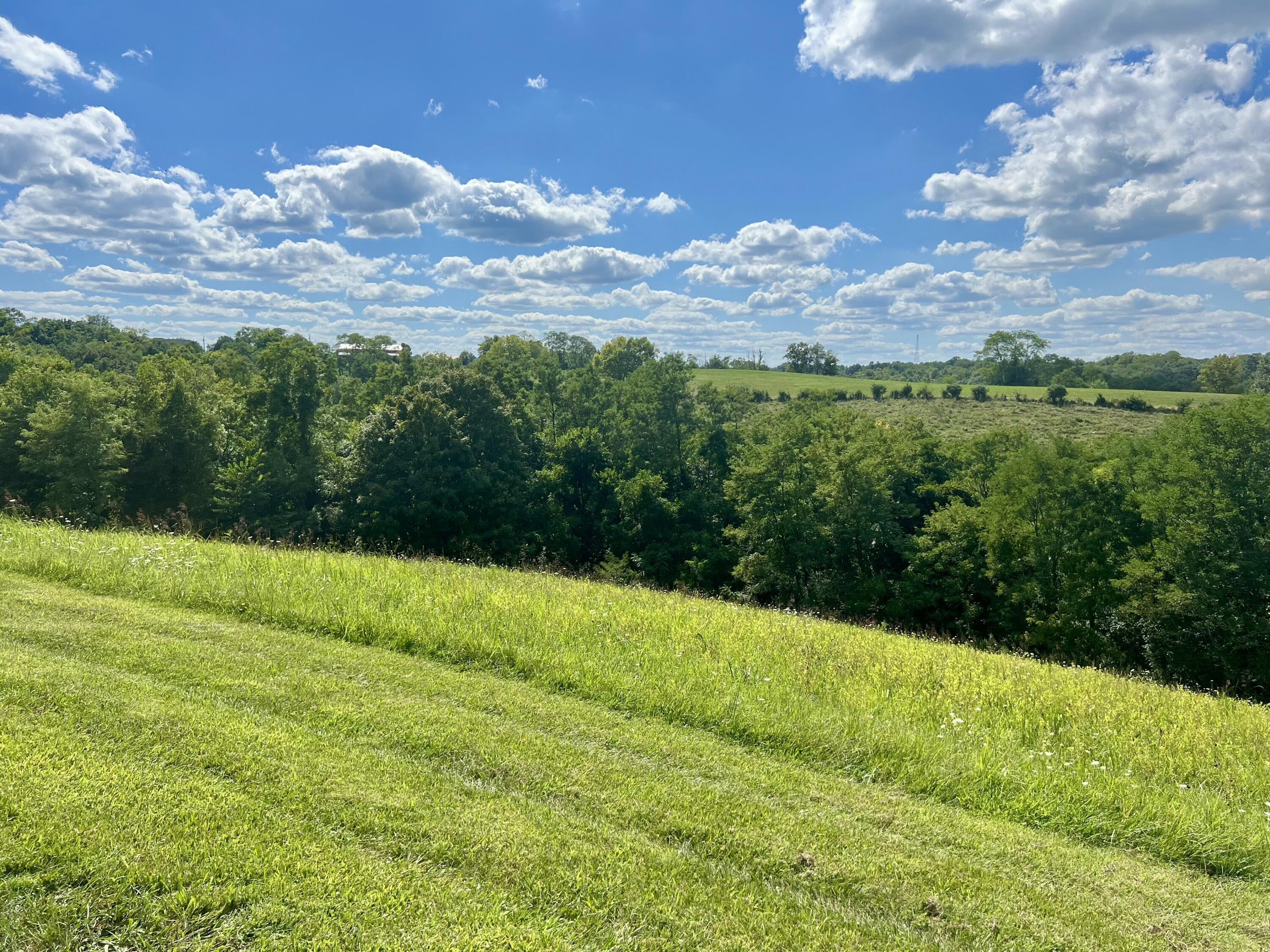 655 Humes Ridge Road Williamstown, KY 41097 - Photo 24 of 37 Gallery Image 24