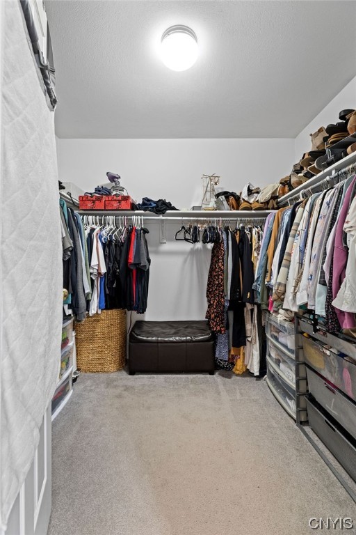 138 Eagle Crest Drive Camillus, NY 13031 - Photo 46 of 50 Primary walk in closet!