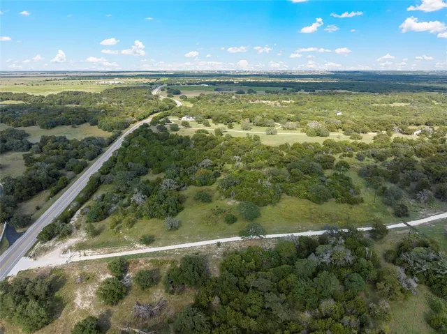 a view of a large body of water with a large tree