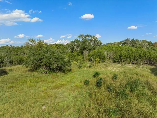 a view of a bunch of trees in a yard