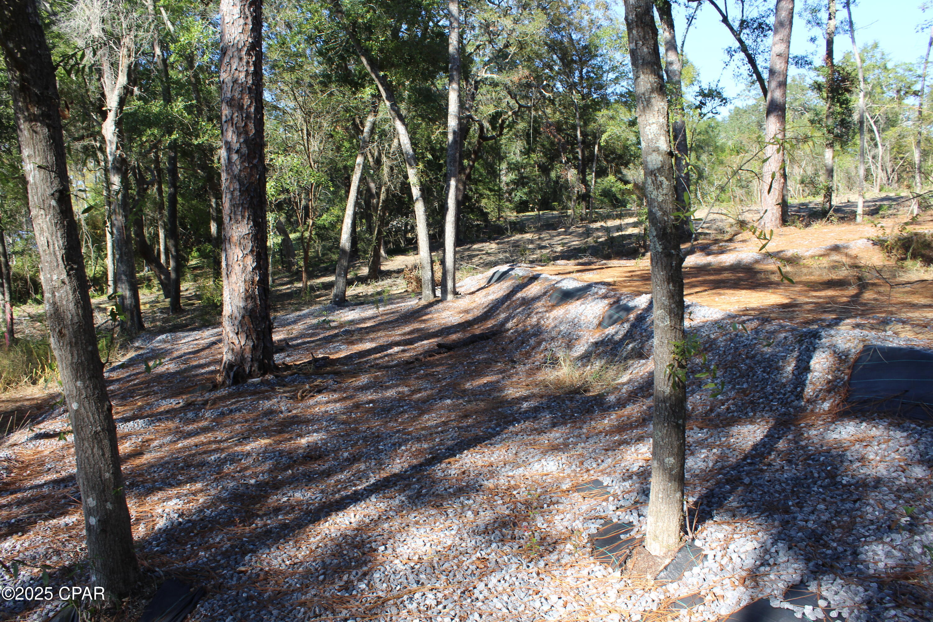 Lot 21 Paradise Lakes Road Chipley, FL 32428 - Photo 31 of 46 Gallery Image 31