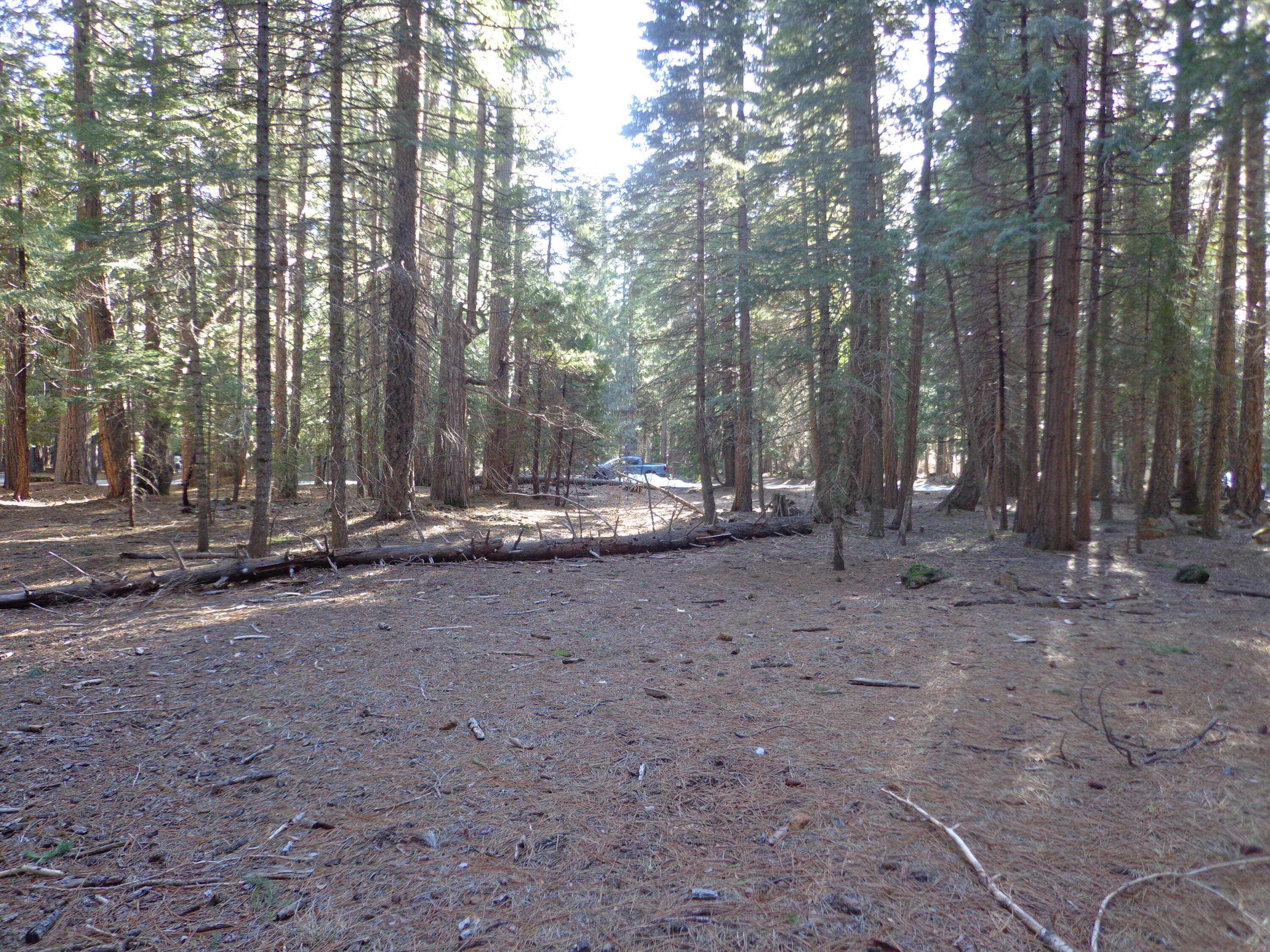 a view of outdoor space with green space