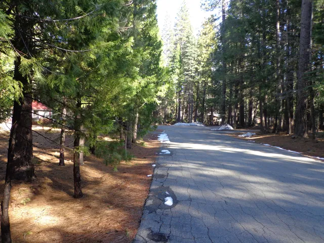 a view of street with trees