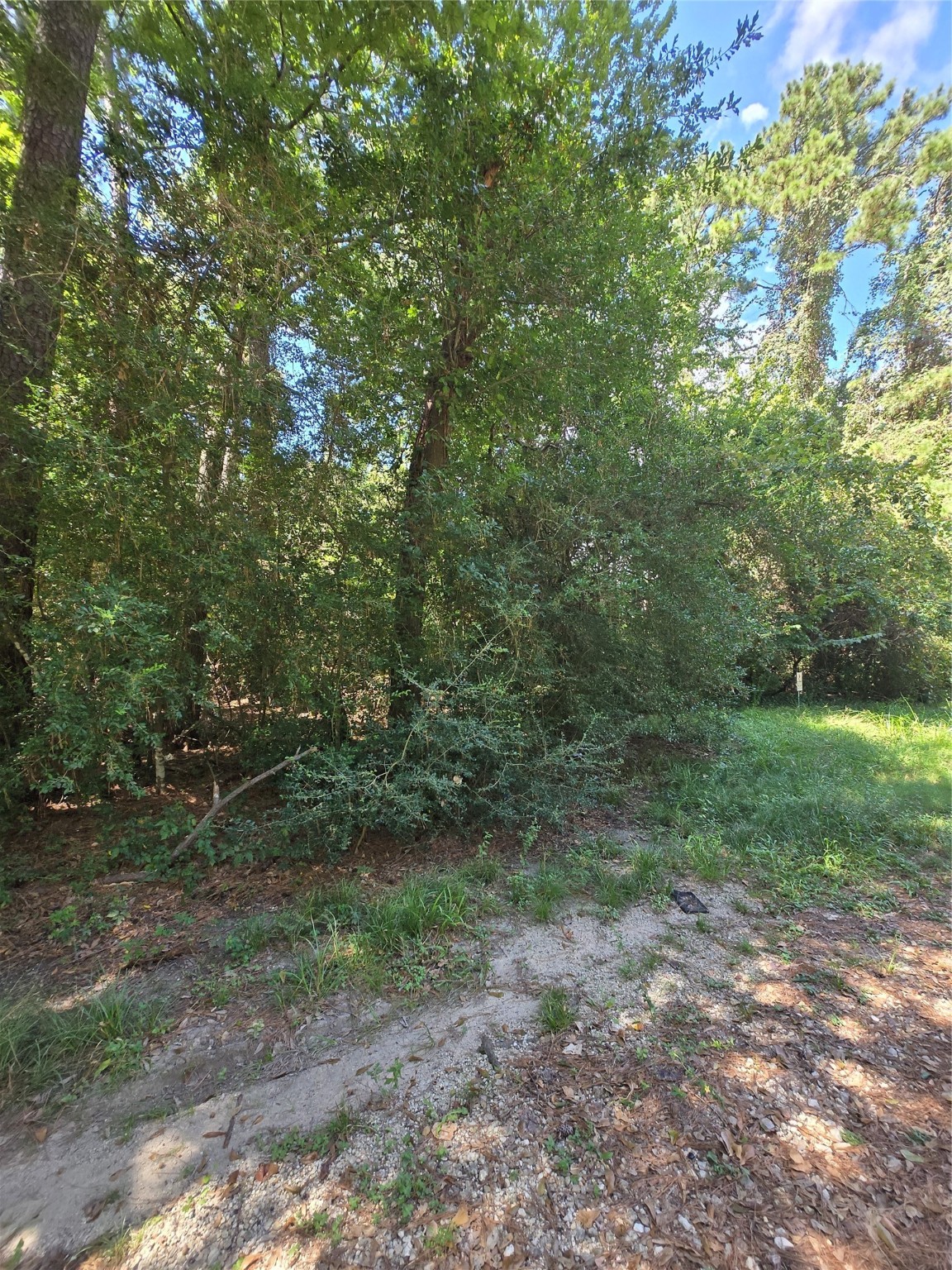 0 Bourgeois Forest Drive Houston, TX 77066 - Photo 2 of 6 a view of a yard with a tree
