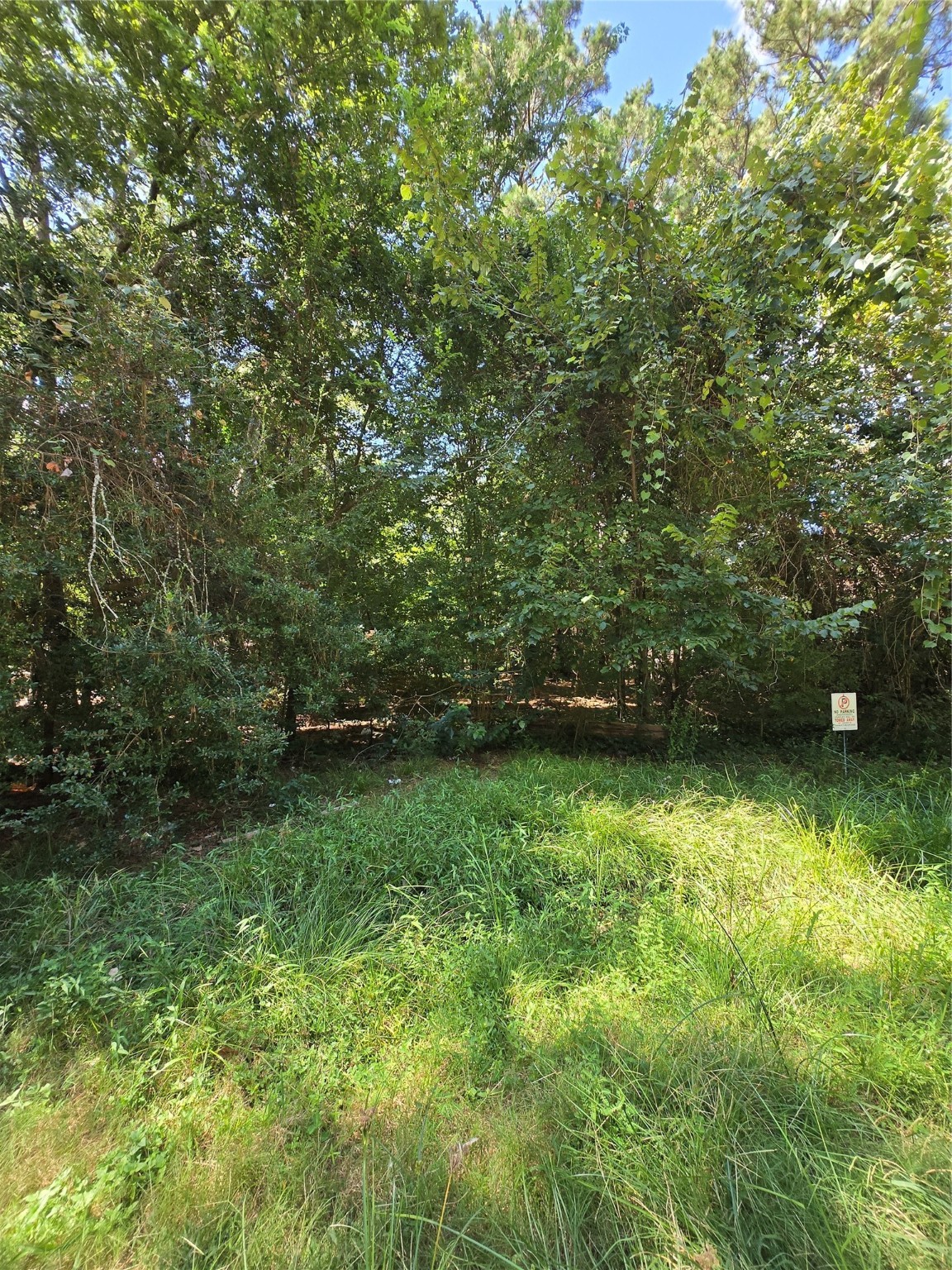0 Bourgeois Forest Drive Houston, TX 77066 - Photo 3 of 6 a view of a yard